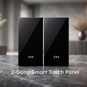 2 gang smart switch